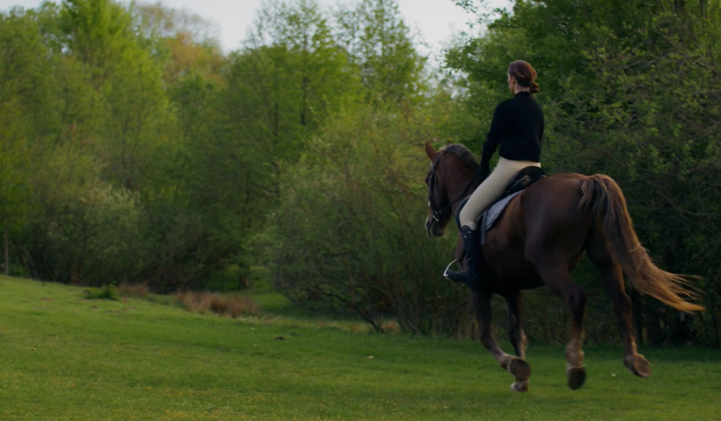 Featured image for Thousands raised for Cancer Research UK in special Salisbury polo match